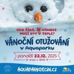 Vánoční otužování v Aquaparku Děčín